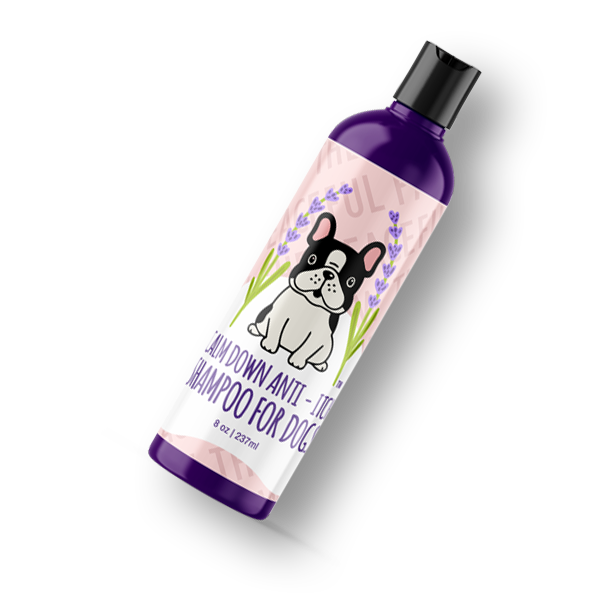Calm-Down Anti-Itch Shampoo for Dogs | Organic Ingredients | 8 oz