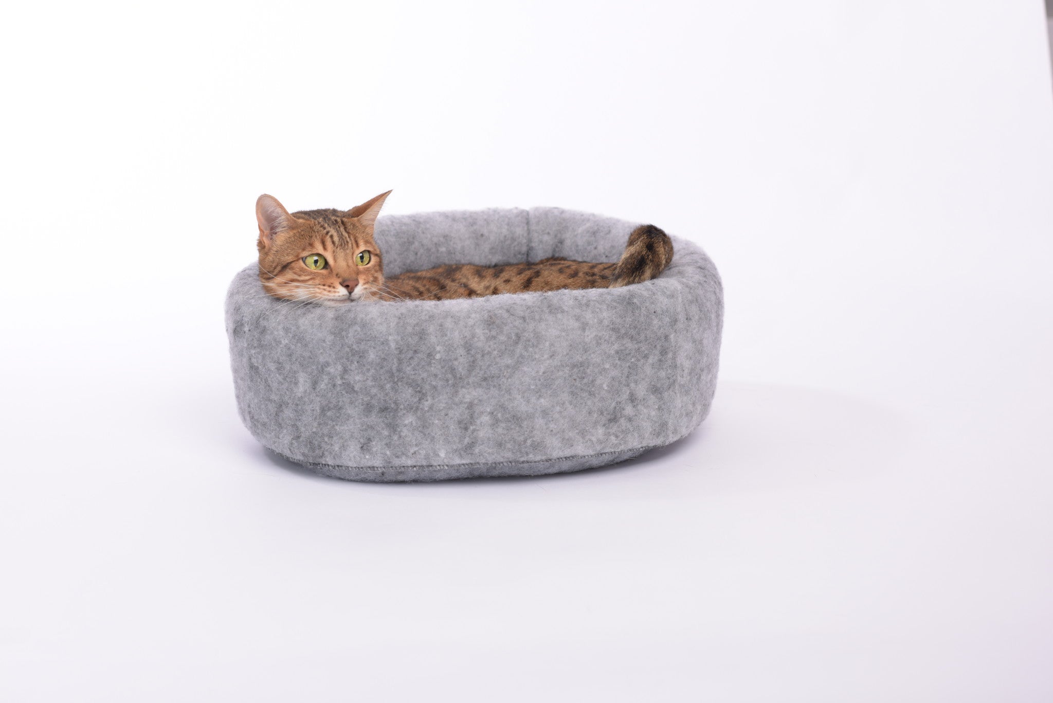 Mysterious Kitty Kup - The Ultimate Cat Bed and Play Tunnel