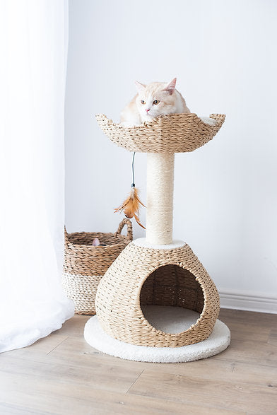 PetPals Walk-Up Cat Condo - Minimalist and Eco-Friendly Cat Tree